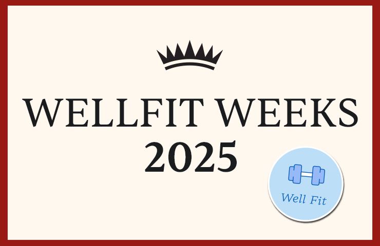 Wellfit Webkart 740X480